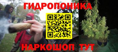 амфетамин Гусь-Хрустальный