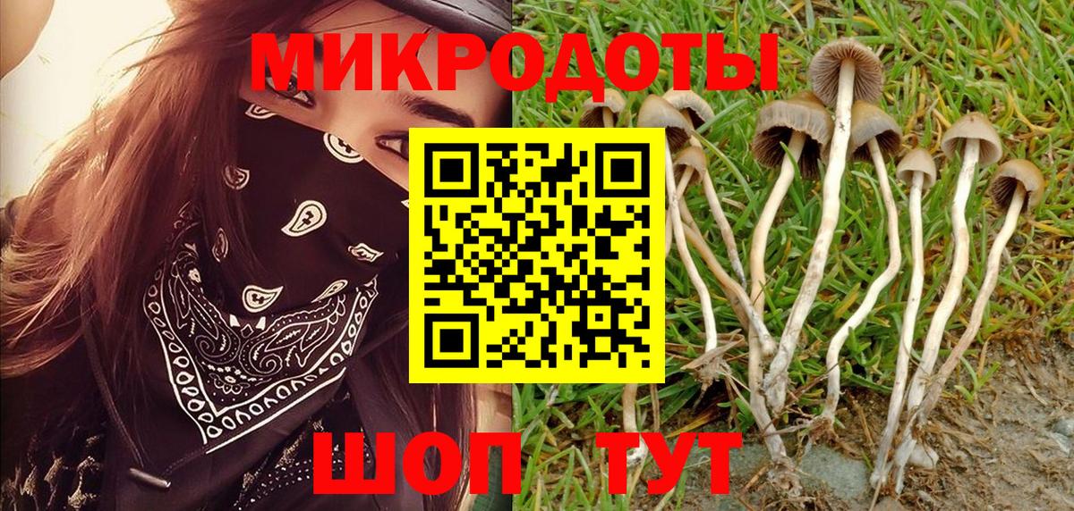 Псилоцибиновые грибы GOLDEN TEACHER Верхняя Салда